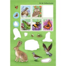 Sticker book
"Animals in forest and meadow" 