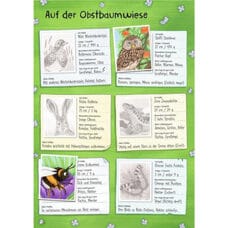 Sticker book
"Animals in forest and meadow" 