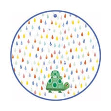 Rain poncho turtle 