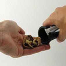 Casse-noix entonnoir  noir 