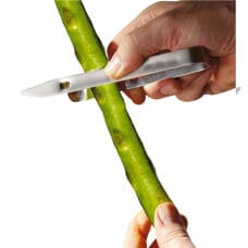 Asparagus Peeler Aspargo 