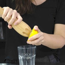 Zitronenpresse und 
Stössel 