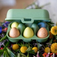 Egg box green
6s 