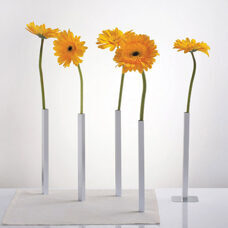 Magnetic vases set of 5 