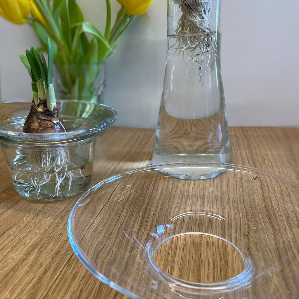 Knollenhalter, 
für Vase Durstlöscher medium 