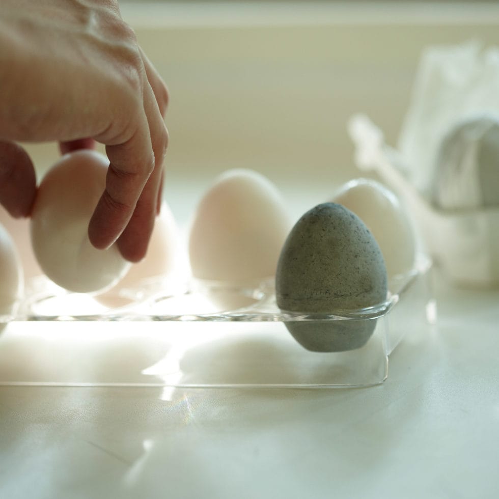 Egg
Odor neutralizer 