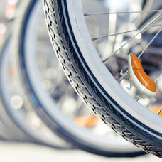 Hamster vélo Speedy 