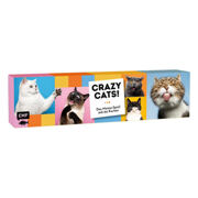 Memorie Crazy Cats 