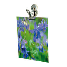 Set de 4 pinces de serrage à clip magnétique 