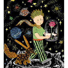 The Little Prince
Scratching pictures book 