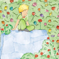 The Little Prince
Water coloring book 