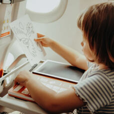 Drawing board Luminous animals