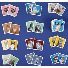 Memorie Crazy Cats 