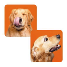 Memorie Funny Dogs ! 