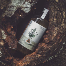 Sirop Golden Forest 250 ml 