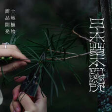 Sirop Golden Forest 250 ml 