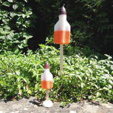 Torch rocket ice cream 