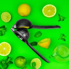 Presse-agrumes avec poignée d`gris 