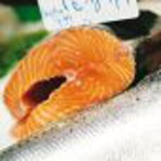 Sushi Matte Silikon transparent 