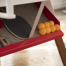 Table de ping-pong noir220 cm 