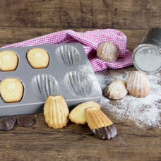 Madeleine / pattes d'ours 