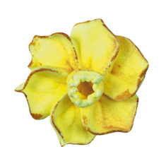 Rosentülle gerade 1.2 cm 