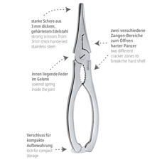 Hummerschere und Zange 