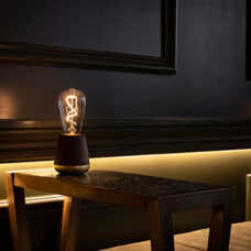 Humble Licht
Walnuss 