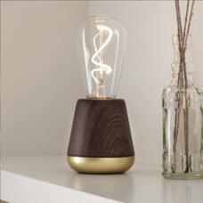 Humble Licht
Walnuss 