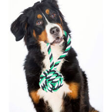 Hundetoy  Schleuderball
grün/schwarz 