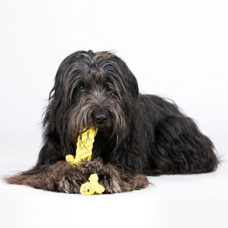 Hundetoy 
"Gretchen Giraffe" 