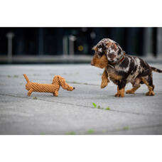 Hundetoy 
"Diego Dackel" 