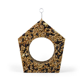 Vogelhaus
La Cabane à oiseaux 