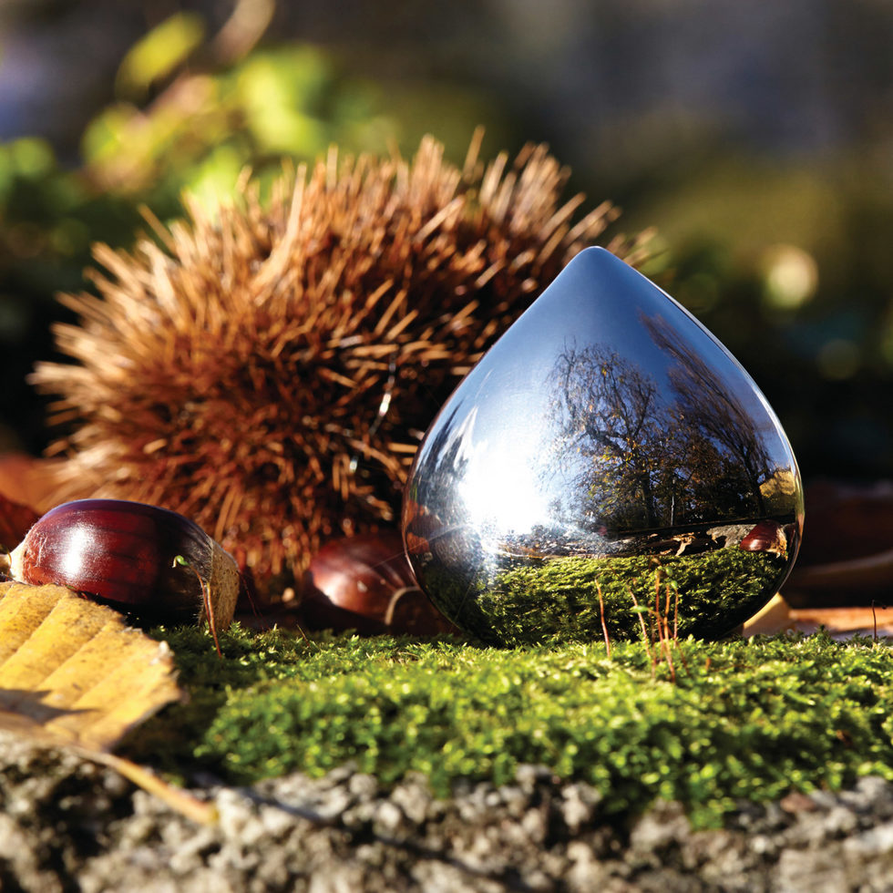 ALESSI
Casier à pilulier marron chromé 