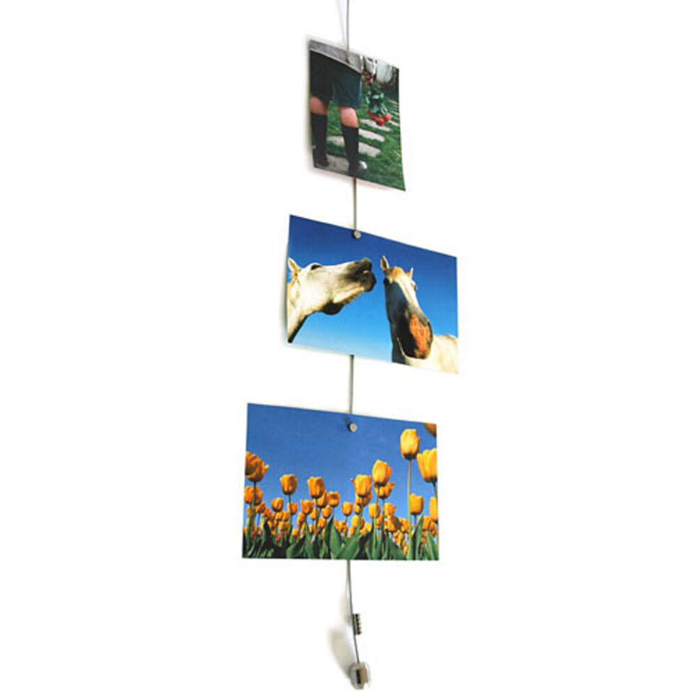 Aimants Acier Dan chromé 