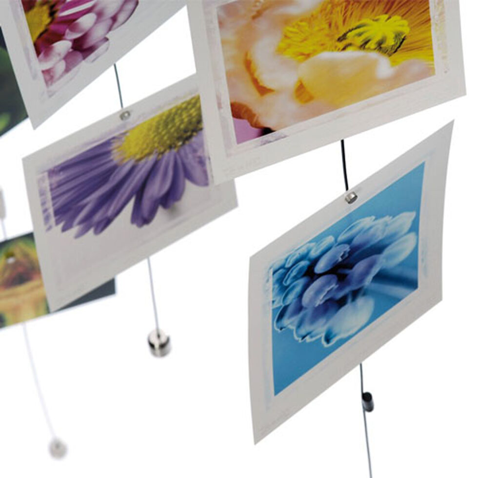 Ligne de suspension Steely Dan 200 cm, 15 aimants 