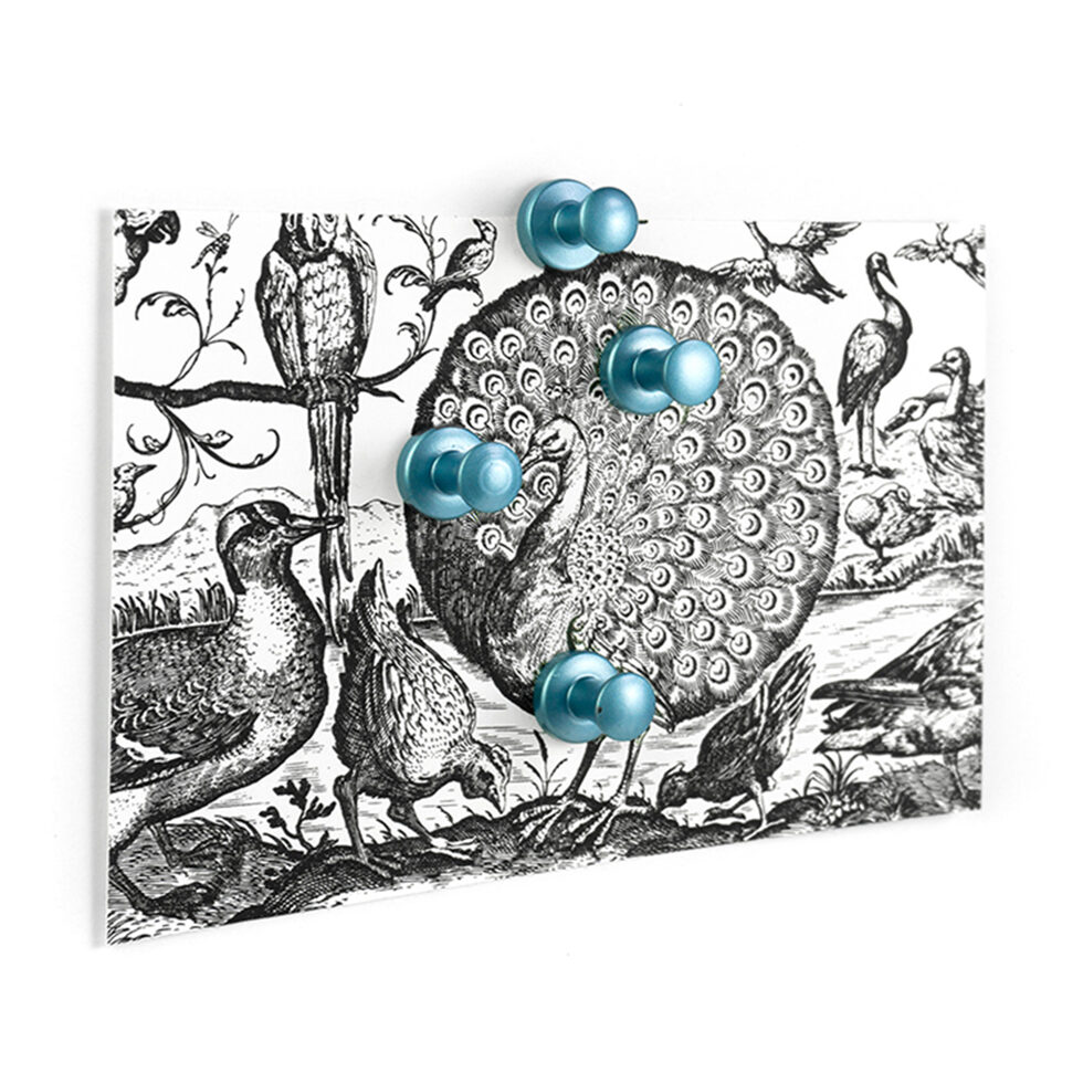 Borne magnétique bleu
lot de 4, 1.5 cm 