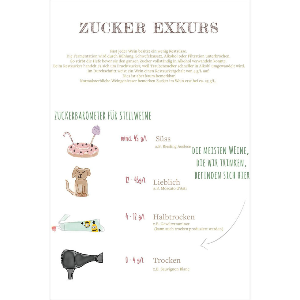 Endlich Wein verstehen 