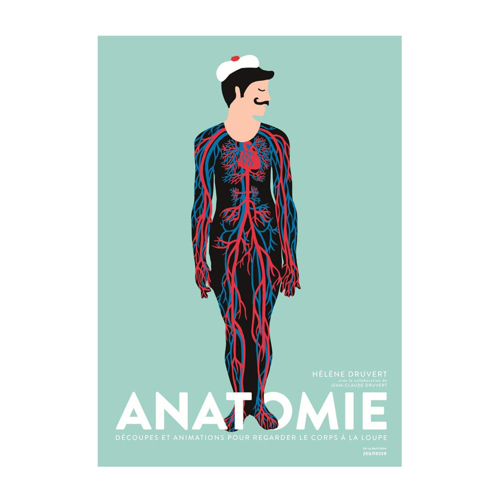 Anatomie 