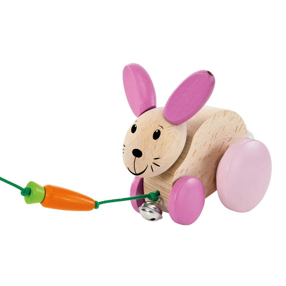 Ziehtier
Hase Hanna 