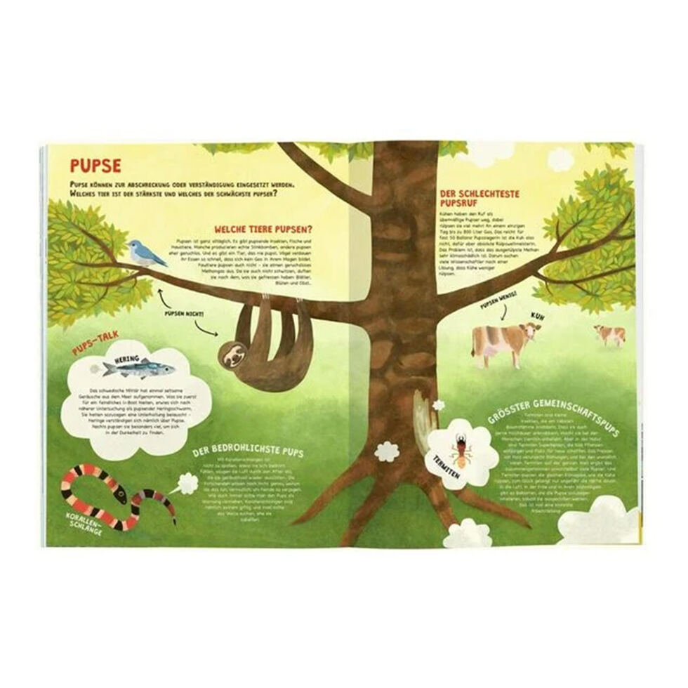 Records d'animaux fous 