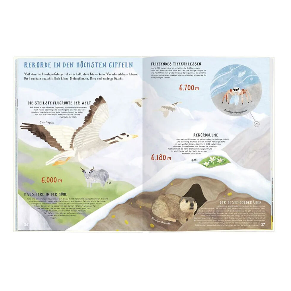 Records de folie Nature 