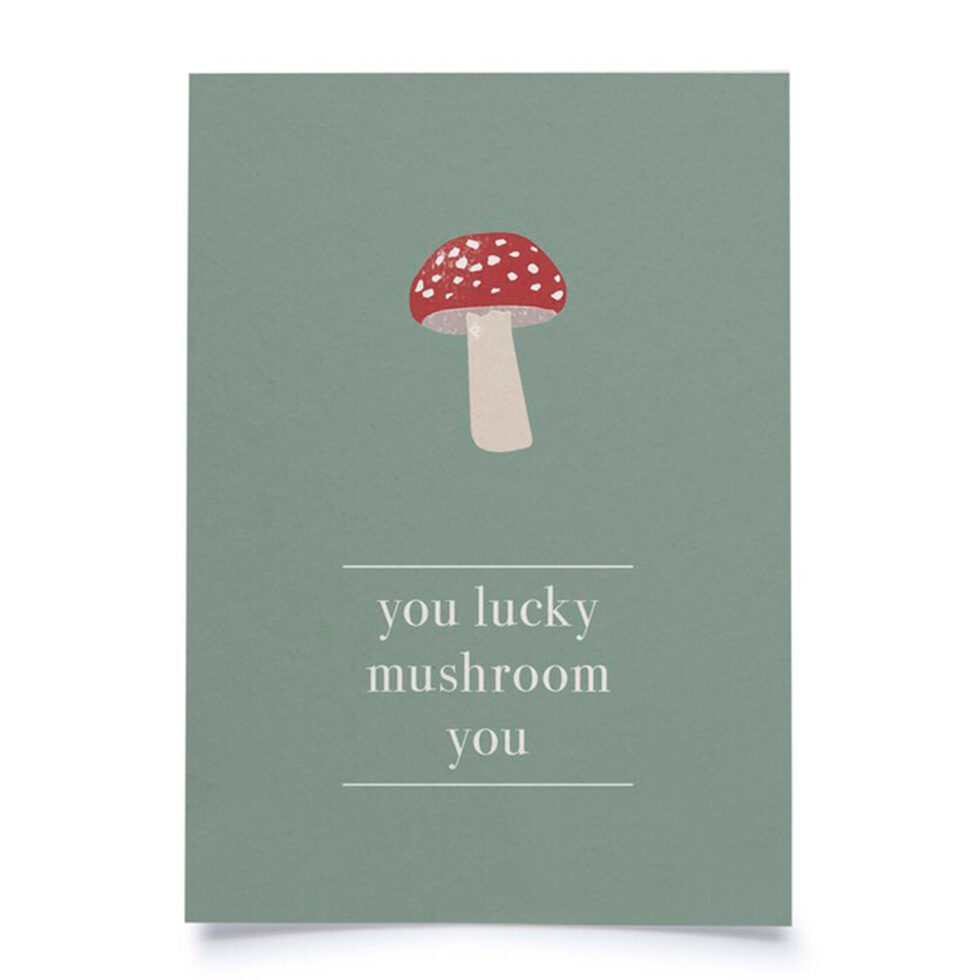 Postcard D`English
Mushroom 