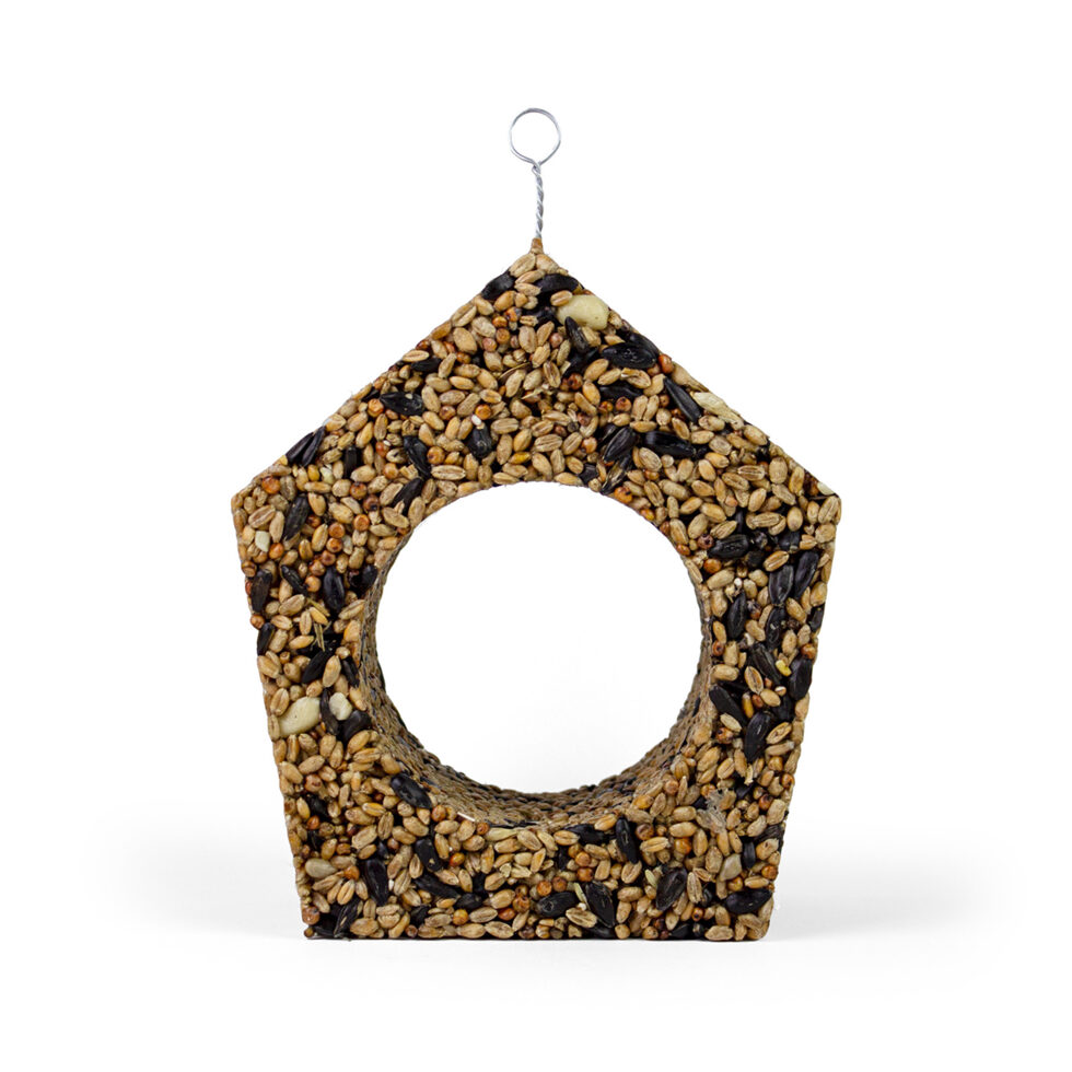 Vogelhaus
La Cabane à oiseaux 