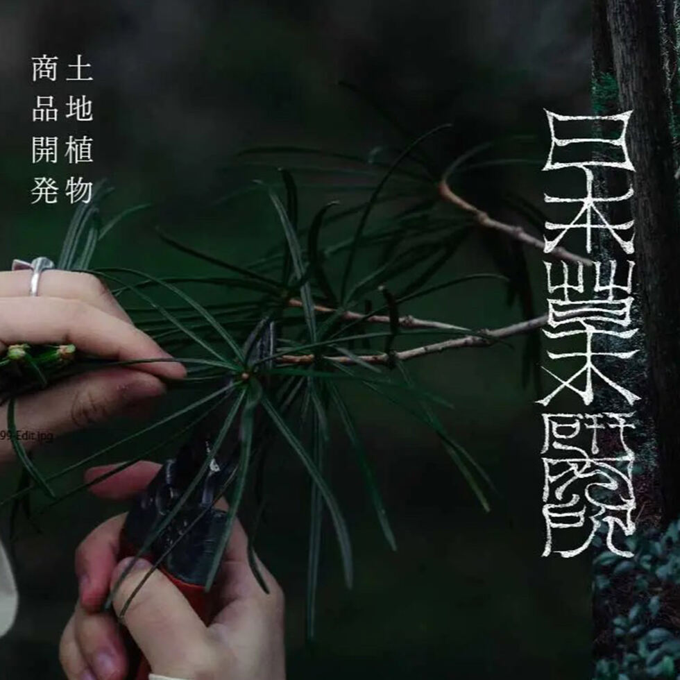 Sirop Golden Forest 250 ml 