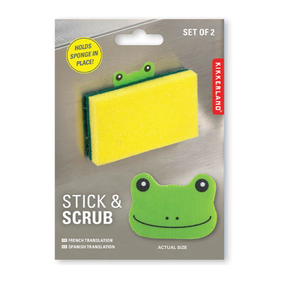 Frog sponge holder 