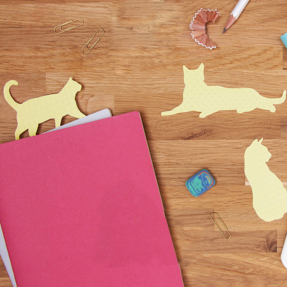 Post-it cats
set of 3 