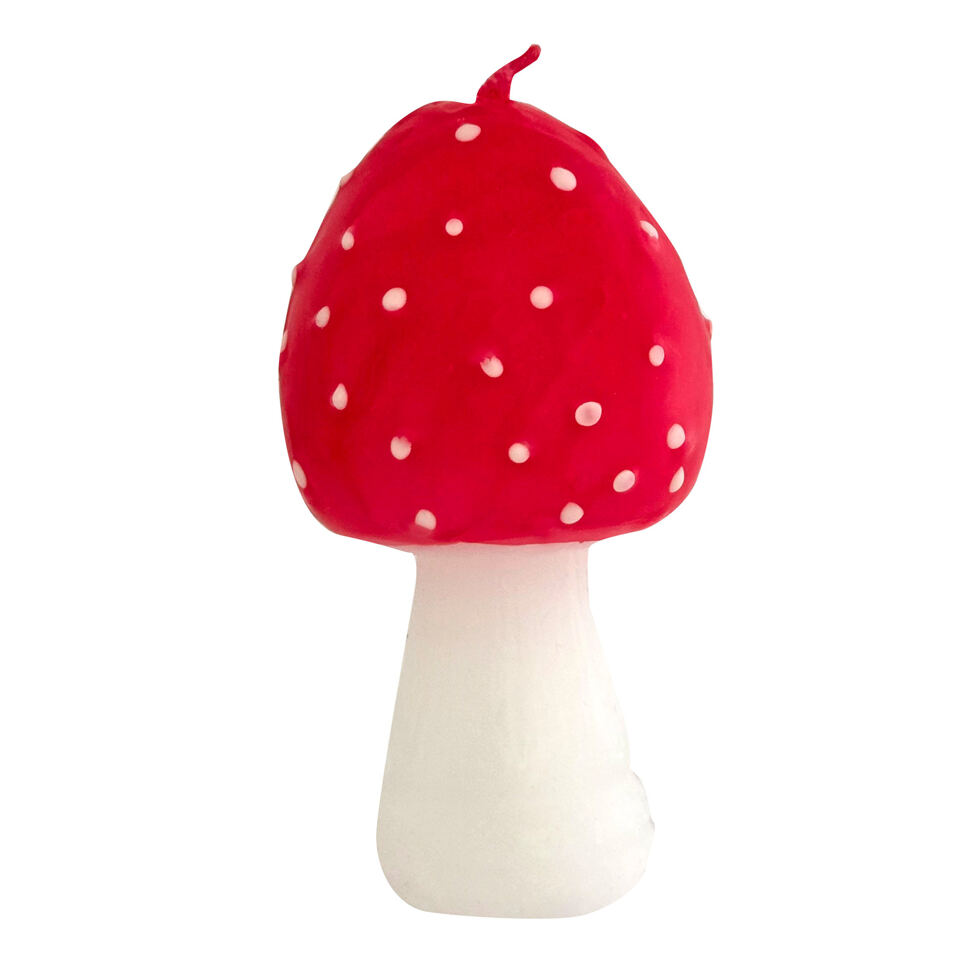 Toadstool high 