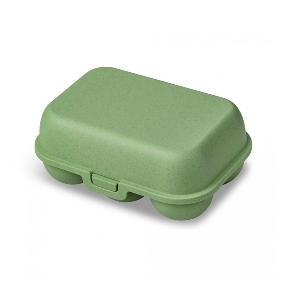 Egg box green
6s 