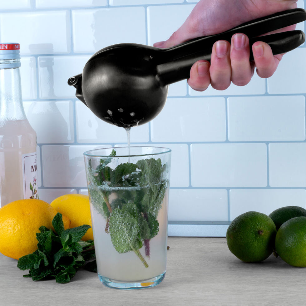 Presse-agrumes avec poignée d`gris 